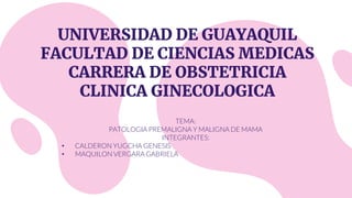 UNIVERSIDAD DE GUAYAQUIL
FACULTAD DE CIENCIAS MEDICAS
CARRERA DE OBSTETRICIA
CLINICA GINECOLOGICA
TEMA:
PATOLOGIA PREMALIGNA Y MALIGNA DE MAMA
INTEGRANTES:
• CALDERON YUGCHA GENESIS
• MAQUILON VERGARA GABRIELA
 