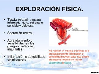 Tacto rectal:  próstata inflamada, dura, caliente o sensible y dolorosa . Secreción uretral. Agrandamiento o sensibilidad en los ganglios linfáticos inguinales. Inflamación o sensibilidad en el escroto  EXPLORACIÓN FÍSICA. No realizar un masaje prostático si la próstata presenta inflamación o sensibilidad obvias, dado que puede propagar la infección y causar  bacteriemia  o  sepsis .  