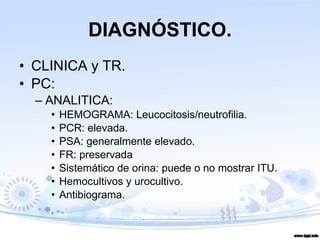 DIAGNÓSTICO. CLINICA y TR. PC: ANALITICA:  HEMOGRAMA: Leucocitosis/neutrofilia. PCR: elevada. PSA: generalmente elevado. FR: preservada Sistemático de orina: puede o no mostrar ITU. Hemocultivos y urocultivo. Antibiograma. 