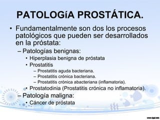 PATOLOGíA PROSTÁTICA. Fundamentalmente son dos los procesos patológicos que pueden ser desarrollados en la próstata: Patologías benignas: Hiperplasia benigna de próstata Prostatitis Prostatitis aguda bacteriana.  Prostatitis crónica bacteriana.  Prostatitis crónica abacteriana (inflamatoria). Prostatodinia (Prostatitis crónica no inflamatoria). Patología maligna: Cáncer de próstata 