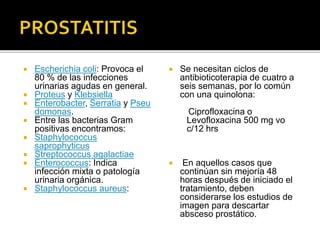  Escherichia coli: Provoca el
80 % de las infecciones
urinarias agudas en general.
 Proteus y Klebsiella
 Enterobacter, Serratia y Pseu
domonas.
 Entre las bacterias Gram
positivas encontramos:
 Staphylococcus
saprophyticus
 Streptococcus agalactiae
 Enterococcus: Indica
infección mixta o patología
urinaria orgánica.
 Staphylococcus aureus:
 Se necesitan ciclos de
antibioticoterapia de cuatro a
seis semanas, por lo común
con una quinolona:
Ciprofloxacina o
Levofloxacina 500 mg vo
c/12 hrs
 En aquellos casos que
continúan sin mejoría 48
horas después de iniciado el
tratamiento, deben
considerarse los estudios de
imagen para descartar
absceso prostático.
 