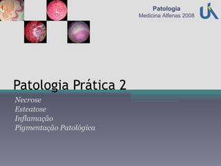Patologia Prática 2 Necrose Esteatose Inflamação Pigmentação Patológica Patologia Medicina Alfenas 2008 