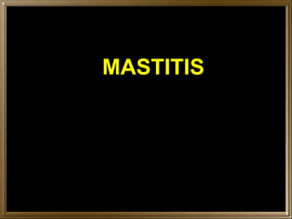 MASTITIS 