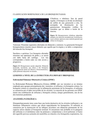 CLASIFICACION MORFOLÓGICA DE LAS BRONQUIECTASIAS:

                                                          Cilíndricas o tubulares: Son de pared
                                                          regular, el bronquio se divide sin disminuir
                                                          de calibre de una generación a otra. Se
                                                          acompaña de disminución de las
                                                          generaciones bronquiales visibles. Se
                                                          considera que se deben a lesión de la
                                                          mucosa.

                                                          Figura 12: Bronquiectasias cilíndricas adquiridas
                                                          mútiples con infección secundaria por Actinomyces,
                                                          cuyas colonias aparecen como material granular que
                                                          rellena los bronquios.

Varicosas: Presentan segmentos alternados de dilatación y estenosis. La generación bronquial
bronquiectásica muestra mayor diámetro que aquella que la origina y se debe a compromiso
del músculo liso bronquial.

Saculares o quisticas: Los bronquios afectados
muestran una apariencia de globo y se asocia
con daño hasta del cartílago.        Los tres
corresponden a lesión cada vez más severa y
progresiva.

Figura 13: Bronquiectasia sacular adquirida. Dilatación
localizada, sacciforme, que afecta a dos bronquios.
Tejido pulmonar distal con fibrosis y bronconeumonía y
tejido pulmonar adyacente sin lesiones.

LESIONES A NIVEL DE LA ESTRUCTURA PULMONAR Y BRONQUIAL

Enfermedad Pulmonar Obstructiva Crónica (EPOC)

La Enfermedad Pulmonar Obstructiva Crónica (EPOC, por sus iniciales) es un término
empleado para agrupar principalmente dos trastornos: el enfisema y la bronquitis crónica. La
bronquitis crónica se caracteriza por la inflamación persistente de los bronquios, el enfisema
se caracteriza por el daño irreversible de los alvéolos. La mayoría de las personas con EPOC
tienen una combinación de enfisema y bronquitis crónica, aunque generalmente, uno de los
dos trastornos predomine.

ANATOMÍA PATOLÓGICA

Histopatológicamente tiene como base una lesión destructiva de los alvéolos (enfisema) y un
fenómeno inflamatorio crónico que afecta especialmente los bronquiolos. El enfisema se
caracteriza por la destrucción de los tabiques alveolares con dilatación permanente de los
espacios aéreos dístales al bronquiolo terminal. El mecanismo más probable en la patogenia
del enfisema es el desbalance entre las proteasas y antiproteasas a nivel pulmonar; el humo
del cigarrillo provoca acúmulos de neutrófilos en relación a los bronquíolos respiratorios, los
 