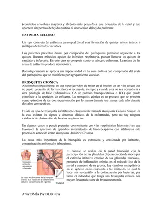 (conductos alveolares mayores y alvéolos más pequeños), que dependen de la edad y que
aparecen sin pérdida de tejido elástico ni destrucción del tejido pulmonar.

ENFISEMA BULLOSO

Un tipo concreto de enfisema paraseptal distal con formación de quistes aéreos únicos o
múltiples de tamaños variables.

Los pacientes presentan disnea por compresión del parénquima pulmonar adyacente a los
quistes. Durante episodios agudos de infección respiratoria, pueden llenarse los quistes de
exudado e infectarse. En este caso se comporta como un absceso pulmonar. La rotura de las
áreas de enfisema produce neumotórax.

Radiológicamente se aprecia una hiperclaridad en la zona bullosa con compresión del resto
del parénquima, que se manifiesta por agrupamiento vascular.

BRONQUITIS CRONICA
Anatomopatológicamente, es una hipersecreción de moco en el interior de las vías aéreas que
se puede presentar de forma crónica o recurrente, siempre y cuando esta no sea secundaria a
otra patología de base (tuberculosis, CA de pulmón, bronquiectasias o ICC) que puede
contribuir a la aparición de enfisema. La bronquitis crónica es un proceso que se presenta
como episodios de tos con expectoración por lo menos durante tres meses cada año durante
dos años consecutivos.

Existe un tipo de bronquitis identificable clínicamente llamada Bronquitis Crónica Simple, en
la cual existen los signos y síntomas clásicos de la enfermedad, pero no hay ninguna
evidencia de obstrucción de las vías respiratorias.

En algunos casos se puede presentar concomitante con vías respiratorias hiperreactivas que
favorecen la aparición de episodios intermitentes de broncoespasmo con sibilancias este
proceso es conocido como Bronquitis Asmática Crónica.

La causa más importante de la bronquitis es extrínseca y ocasionada por irritantes,
contaminación ambiental o tabaquismo.

                                   El proceso se realiza en la pared bronquial con la
                                   participación de las glándulas (hipersecreción de moco por
                                   el estímulo irritativo crónico de las glándulas mucosas),
                                   presencia de inflamación crónica en el músculo liso de la
                                   pared y aumento de su grosor, hay cambios metaplásicos
                                   en el epitelio como respuesta a tal irritación, lo cual la
                                   hace más susceptible a la colonización por bacterias, por
                                   tanto el individuo que tenga una bronquitis crónica con
                                   mayor frecuencia sufre de bronconeumonía.



ANATOMÍA PATOLOGICA
 