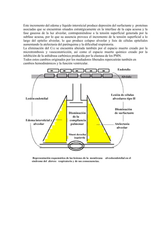 Este incremento del edema y líquido intersticial produce depresión del surfactante y proteínas
asociadas que se encuentran situados estratégicamente en la interfase de la capa acuosa y la
fase gaseosa de la luz alveolar, contraponiéndose a la tensión superficial generada por la
subfase acuosa, por lo que su ausencia provoca el incremento de la tensión superficial a lo
largo del epitelio alveolar, lo que produce colapso alveolar y lisis de células epiteliales
aumentando la atelectasia del parénquima y la dificultad respiratoria.
La eliminación del CO2 se encuentra alterada también por el espacio muerto creado por la
microtrombosis y vasoconstricción, así como el espacio muerto químico creado por la
inhibición de la anhidrasa carbónica producida por la elastasa de los PMN.
Todos estos cambios originados por los mediadores liberados repercutirán también en
cambios hemodinámicos y la función ventricular.
 