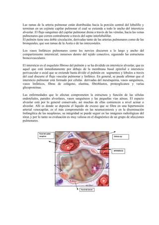 Las ramas de la arteria pulmonar están distribuidas hacia la porción central del lobulillo y
terminan en un cojinete capilar pulmonar el cual se extiende a todo lo ancho del intersticio
alveolar. El flujo sanguíneo del capilar pulmonar drena a través de las vénulas, hacia las venas
pulmonares que corren centralmente a través del septo interlobulillar.
El pulmón tiene una doble circulación, derivadas tanto de las arterias pulmonares como de las
bronquiales, que son ramas de la Aorta o de las intercostales.

Los vasos linfáticos pulmonares como los nervios discurren a lo largo y ancho del
compartimiento intersticial; inmersos dentro del tejido conectivo, siguiendo las estructuras
broncovasculares.

El intersticio es el esqueleto fibroso del pulmón y se ha dividido en intersticio alveolar, que es
aquel que está inmediatamente por debajo de la membrana basal epitelial e intersticio
perivascular o axial que se extiende hasta dividir el pulmón en segmentos y lóbulos a través
del cual discurre el flujo vascular pulmonar y linfático. En general, se puede afirmar que el
intersticio pulmonar está formado por células derivadas del mesénquima, vasos sanguíneos,
vasos linfáticos, fibras de colágeno, elastina, fibroblastos, proteoglicanos y varias
glicoproteínas.

Las enfermedades que lo afectan comprometen la estructura y función de las células
endoteliales, paredes alveolares, vasos sanguíneos y las pequeñas vías aéreas. El espacio
alveolar está por lo general conservado, así muchas de ellas comiencen a nivel acinar o
alveolar. Allí es donde se deposita el líquido de exceso que se filtra en una hipertensión
arterial venocapilar, es el más comprometido en las neumoconiosis y en la diseminación
linfangítica de las neoplasias; su integridad se puede seguir en las imágenes radiológicas del
tórax y por lo tanto su evaluación es muy valiosa en el diagnóstico de un grupo de afecciones
pulmonares.
 