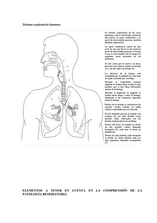 Sistema respiratorio humano

                                   El sistema respiratorio de los seres
                                   humanos y otros vertebrados, consta de
                                   dos partes, la parte conductora y la
                                   parte de intercambio gaseoso, también
                                   llamada respiratoria.
                                   La parte conductora consta de una
                                   serie de vías que llevan el aire hacia la
                                   parte de intercambio gaseoso, en la que
                                   el gas se intercambia con la sangre en
                                   pequeños sacos presentes en los
                                   pulmones.

                                   El aire entra por la nariz o la boca,
                                   pasa por una cámara común, la faringe
                                   (1), y de ahí viaja a la laringe (2).

                                   La abertura de la laringe está
                                   custodiada por la epiglotis (3), una hoja
                                   de tejido sostenida por cartílago.
                                   Durante la respiración normal,
                                   epiglotis se inclina hacia arriba, lo que
                                   permite que el aire fluya libremente
                                   dentro de la laringe.
                                   Durante la deglución, la epiglotis se
                                   inclina hacia abajo y cubre la laringe,
                                   dirigiendo a las sustancias ingeridas
                                   hacia el esófago

                                   Dentro de la laringe se encuentran las
                                   cuerdas vocales, bandas de tejido
                                   elástico controladas por un músculo.

                                   El aire inhalado pasa de la laringe a la
                                   tráquea (4), un tubo flexible cuyas
                                   paredes están reforzadas con las
                                   bandas semicirculares de cartílago.
                                   Dentro del tórax, la tráquea se divide
                                   en dos grandes ramas, llamadas
                                   bronquios (5), cada una va hacia un
                                   pulmón (6).
                                   Dentro de cada pulmón, cada bronquio
                                   se divide en varios túbulos cada vez
                                   más pequeños, llamados bronquiolos
                                   (7).




ELEMENTOS A TENER EN CUENTA EN LA COMPRENSIÓN DE LA
PATOLOGÍA RESPIRATORIA
 