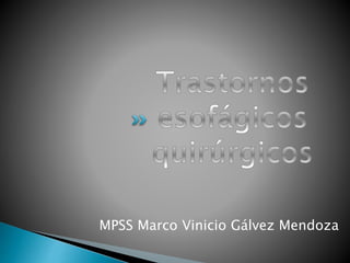 MPSS Marco Vinicio Gálvez Mendoza 
 