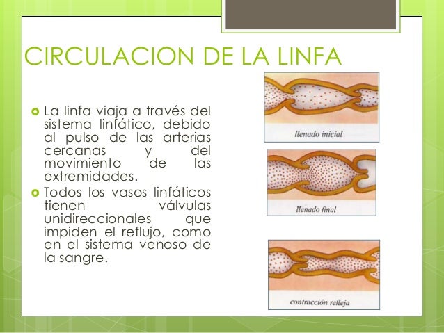 Patologia quirurgica del sistema linfatico