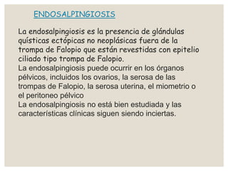ENDOSALPINGIOSIS
La endosalpingiosis es la presencia de glándulas
quísticas ectópicas no neoplásicas fuera de la
trompa de Falopio que están revestidas con epitelio
ciliado tipo trompa de Falopio.
La endosalpingiosis puede ocurrir en los órganos
pélvicos, incluidos los ovarios, la serosa de las
trompas de Falopio, la serosa uterina, el miometrio o
el peritoneo pélvico
La endosalpingiosis no está bien estudiada y las
características clínicas siguen siendo inciertas.
 