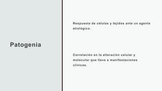 Bibliografía
PLAN DE ESTUDIOS.
1. Anatomía Humana. Fernando Quiroz. Editorial Porrúa.
3. Fisiología Humana. Guyton. Editor...