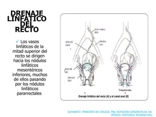 DRENAJE
LINFATICO
DEL
RECTO
 Los vasos
linfáticos de la
mitad superior del
recto se dirigen
hacia los nódulos
linfáticos
mesentéricos
inferiores, muchos
de ellos pasando
por los nódulos
linfáticos
pararrectales.
SCHWARTZ. PRINCIPIO DE CIRUGÍA. MAL ROTACIÓN CONGÉNITA.9A ED.
MÉXICO: EDITORIAL MCGRAW-HILL
 