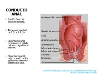 CONDUCTO
ANAL
 Porción final del
intestino grueso.
 Tiene una longitud
de 2.5 a 3.5 cm.
 El conducto anal
termina en la salida
del tubo digestivo al
exterior.
 El conducto anal
esta rodeado de los
esfínteres interno y
externo del ano.
SCHWARTZ. PRINCIPIO DE CIRUGÍA. MAL ROTACIÓN CONGÉNITA.9A ED.
MÉXICO: EDITORIAL MCGRAW-HILL
 