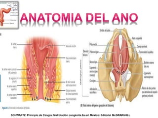 Schwartz, principios de cirugia. Novena edición.
Ed; McGraw Hill.
SCHWARTZ. Principio de Cirugía. Malrotación congénita.9a ed. México: Editorial McGRAW-HILL
 