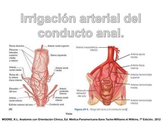 MOORE, K.L. Anatomía con Orientación Clínica, Ed. Médica Panamericana-Sans Tache-Williams et Wilkins, 7ª Edición, 2012
 