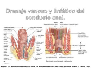 MOORE, K.L. Anatomía con Orientación Clínica, Ed. Médica Panamericana-Sans Tache-Williams et Wilkins, 7ª Edición, 2012
 