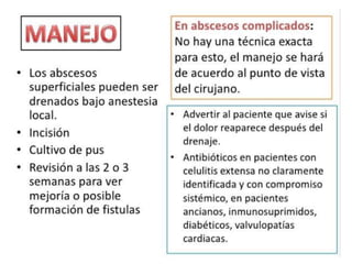 anatomia recto anal y absceso perianal