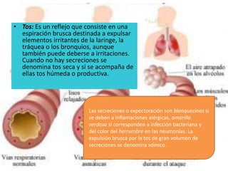 • Tos: Es un reflejo que consiste en una
espiración brusca destinada a expulsar
elementos irritantes de la laringe, la
tráquea o los bronquios, aunque
también puede deberse a irritaciones.
Cuando no hay secreciones se
denomina tos seca y si se acompaña de
ellas tos húmeda o productiva.
Las secreciones o expectoración son blanquecinas si
se deben a inflamaciones alérgicas, amarillo
verdosa si corresponden a infección bacteriana y
del color del herrumbre en las neumonías. La
expulsión brusca por la tos de gran volumen de
secreciones se denomina vómica.
 