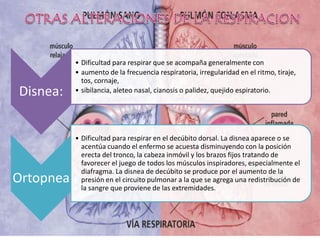 Disnea:
• Dificultad para respirar que se acompaña generalmente con
• aumento de la frecuencia respiratoria, irregularidad en el ritmo, tiraje,
tos, cornaje,
• sibilancia, aleteo nasal, cianosis o palidez, quejido espiratorio.
Ortopnea
• Dificultad para respirar en el decúbito dorsal. La disnea aparece o se
acentúa cuando el enfermo se acuesta disminuyendo con la posición
erecta del tronco, la cabeza inmóvil y los brazos fijos tratando de
favorecer el juego de todos los músculos inspiradores, especialmente el
diafragma. La disnea de decúbito se produce por el aumento de la
presión en el circuito pulmonar a la que se agrega una redistribución de
la sangre que proviene de las extremidades.
 