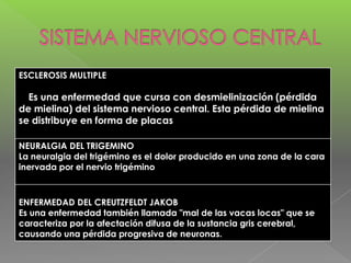 ESCLEROSIS MULTIPLE

Es una enfermedad que cursa con desmielinización (pérdida
de mielina) del sistema nervioso central. Esta pérdida de mielina
se distribuye en forma de placas
NEURALGIA DEL TRIGEMINO
La neuralgia del trigémino es el dolor producido en una zona de la cara
inervada por el nervio trigémino

ENFERMEDAD DEL CREUTZFELDT JAKOB
Es una enfermedad también llamada "mal de las vacas locas" que se
caracteriza por la afectación difusa de la sustancia gris cerebral,
causando una pérdida progresiva de neuronas.

 