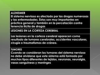 ALZHEIMER
El sistema nervioso es afectado por las drogas numerosas
y las enfermedades. Éstos son muy importantes en
práctica general y también en la percatación contra
tenencia ilícita de drogas
LESIONES EN LA CORTEZA CEREBRAL

Las lesiones en la corteza cerebral aparecen como
resultado de tumores cerebrales, accidentes vasculares,
cirugía o traumatismos de cráneo.
TUMORES

Cuando se consideran los tumores del sistema nervioso
no debe olvidarse que este sistema está formado por
muchos tipos diferentes de tejidos, neuronas, neuralgia,
vasos sanguíneos y meninges

 