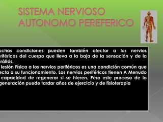uchas condiciones pueden también afectar a los nervios
eriféricos del cuerpo que lleva a la baja de la sensación y de la
arálisis.
lesión Física a los nervios periféricos es una condición común que
ecta a su funcionamiento. Los nervios periféricos tienen A Menudo
capacidad de regenerar si se hieren. Pero este proceso de la
generación puede tardar años de ejercicio y de fisioterapia

 
