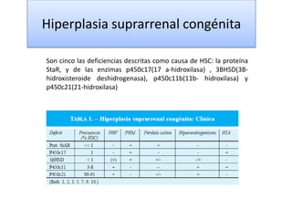 Hiperplasia suprarrenal congénita
Son cinco las deficiencias descritas como causa de HSC: la proteína
StaR, y de las enzimas p450c17(17 a-hidroxilasa) , 3BHSD(3B-
hidroxisteroide deshidrogenasa), p450c11b(11b- hidroxilasa) y
p450c21(21-hidroxilasa)
 