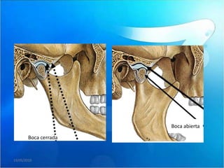 Boca abierta

        Boca cerrada


19/05/2010
 