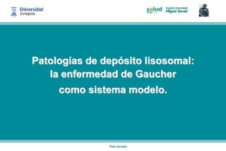 Patologías de depósito lisosomal:
   la enfermedad de Gaucher
     como sistema modelo.




               Pilar Giraldo
 