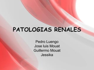 PATOLOGIAS RENALES Pedro Luengo Jose luis Mouat Guillermo Mouat Jessika 