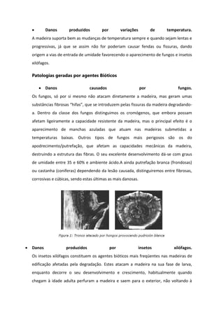 Danos produzidos por variações de temperatura.
A madeira suporta bem as mudanças de temperatura sempre e quando sejam lentas e
progressivas, já que se assim não for poderiam causar fendas ou fissuras, dando
origem a vias de entrada de umidade favorecendo o aparecimento de fungos e insetos
xilófagos.
Patologias geradas por agentes Bióticos
Danos causados por fungos.
Os fungos, só por si mesmo não atacam diretamente a madeira, mas geram umas
substâncias fibrosas “hifas”, que se introduzem pelas fissuras da madeira degradando-
a. Dentro da classe dos fungos distinguimos os cromógenos, que embora possam
afetam ligeiramente a capacidade resistente da madeira, mas o principal efeito é o
aparecimento de manchas azuladas que atuam nas madeiras submetidas a
temperaturas baixas. Outros tipos de fungos mais perigosos são os do
apodrecimento/putrefação, que afetam as capacidades mecânicas da madeira,
destruindo a estrutura das fibras. O seu excelente desenvolvimento dá-se com graus
de umidade entre 35 e 60% e ambiente ácido.A ainda putrefação branca (frondosas)
ou castanha (coníferas) dependendo da lesão causada, distinguiremos entre fibrosas,
corrosivas e cúbicas, sendo estas últimas as mais danosas.
Danos produzidos por insetos xilófagos.
Os insetos xilófagos constituem os agentes bióticos mais freqüentes nas madeiras de
edificação afetadas pela degradação. Estes atacam a madeira na sua fase de larva,
enquanto decorre o seu desenvolvimento e crescimento, habitualmente quando
chegam à idade adulta perfuram a madeira e saem para o exterior, não voltando à
 