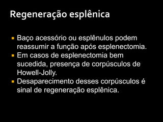  Baço acessório ou esplênulos podem
reassumir a função após esplenectomia.
 Em casos de esplenectomia bem
sucedida, presença de corpúsculos de
Howell-Jolly.
 Desaparecimento desses corpúsculos é
sinal de regeneração esplênica.
 
