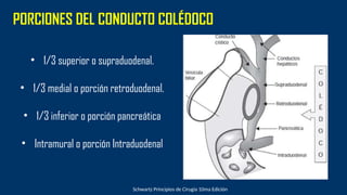 Comprehensive Overview of Biliary Tract Pathologies and Acute ...