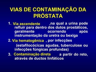 VIAS DE CONTAMINAÇÃO DA PRÓSTATA ,na qual a urina pode refluir para dentro dos dutos prostáticos, geralmente ocorrendo após instrumentação da uretra ou bexiga , por infecções (estafilocócicas agudas, tuberculose ou infecções fúngicas profundas) 3.  a partir do reto, através de ductos linfáticos Via ascendente Via hematogênica Contaminação direta 