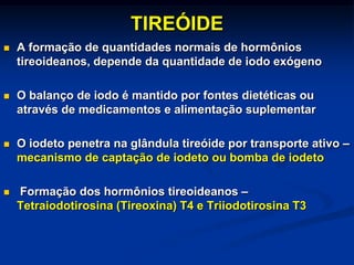 TIREÓIDE


A formação de quantidades normais de hormônios
tireoideanos, depende da quantidade de iodo exógeno



O balanço de iodo é mantido por fontes dietéticas ou
através de medicamentos e alimentação suplementar



O iodeto penetra na glândula tireóide por transporte ativo –
mecanismo de captação de iodeto ou bomba de iodeto



Formação dos hormônios tireoideanos –
Tetraiodotirosina (Tireoxina) T4 e Triiodotirosina T3

 