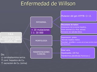 Enfermedad de Willson
Mutacion del gen ATP7B- Cr 13.
PATOGENIA.
Mecanismo de lesion:
Intoxicacion de la enzima hepatica..

T.R.A.
acumulacion toxica
de cobre en el higado,
encefalo, ojo.

Dx:
↓ ceruloplasmina serica.
↑ cont. hepatico de Cu.
↑ excrecion de Cu. (orina)

+ 20 mutaciones
I 1: 30 000

Union anormal (Cu—Prot. sericas)
Formacion de radicales libres.
Degeneracion grasos.

MORFOLOGIA

MANIFESTACIONES
CLINICAS.

Necrosis hepatica masiva.
Toxicidad encefalo→ nucleos de la base atrofia (mem
De Descemet.)

Edad varia.
Hepatopatia. (20 P.a)
Transtornos psicoticos(≈Parkinson.)

 