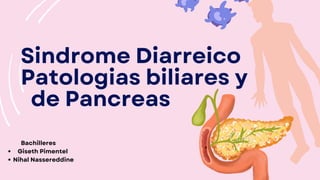 Sindrome Diarreico
Patologias biliares y
de Pancreas
Bachilleres
Giseth Pimentel
Nihal Nassereddine
 