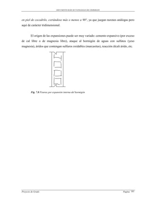 DOCUMENTO BASE DE PATOLOGIAS DEL HORMIGON




en piel de cocodrilo, cortándose más o menos a 90°, ya que juegan razones análogas pero
aquí de carácter tridimensional.


        El origen de las expansiones puede ser muy variado: cemento expansivo (por exceso
de cal libre o de magnesia libre), ataque al hormigón de aguas con sulfatos (yeso
magnesia), áridos que contengan sulfuros oxidables (marcasitas), reacción álcali árido, etc.




        Fig. 7.8 Fisuras por expansión interna del hormigón




Proyecto de Grado                                                                  Pagina 181
 