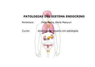 PATOLOGIAS DEL SISTEMA ENDOCRINO
Pertenece: Pinto Neira, Merly Manyuri
Curso: Asistencia al Usuario con patologías
2020
 