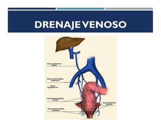 DRENAJEVENOSO
 