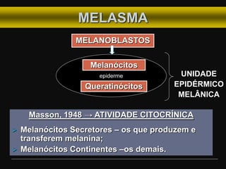 MELASMA
MELANOBLASTOS
epiderme
Melanócitos
Queratinócitos
UNIDADE
EPIDÉRMICO
MELÂNICA
Masson, 1948 → ATIVIDADE CITOCRÍNICA
 Melanócitos Secretores – os que produzem e
transferem melanina;
 Melanócitos Continentes –os demais.
 