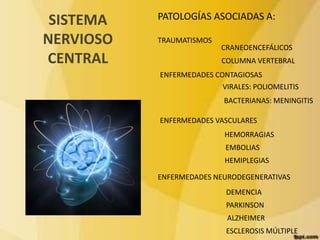 SISTEMA 
NERVIOSO 
CENTRAL 
PATOLOGÍAS ASOCIADAS A: 
TRAUMATISMOS 
CRANEOENCEFÁLICOS 
COLUMNA VERTEBRAL 
ENFERMEDADES CONTAGIOSAS 
VIRALES: POLIOMELITIS 
BACTERIANAS: MENINGITIS 
ENFERMEDADES VASCULARES 
HEMORRAGIAS 
EMBOLIAS 
HEMIPLEGIAS 
ENFERMEDADES NEURODEGENERATIVAS 
DEMENCIA 
PARKINSON 
ALZHEIMER 
ESCLEROSIS MÚLTIPLE 
 