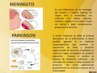 MENINGITIS 
Es una inflamación de las meninges 
del cerebro o médula espinal, de 
origen viral o bacteriano, sus 
síntomas son: fiebre, vómitos, 
cefaleas y rigidez en el cuello. Puede 
ser mortal o dejar consecuencias 
graves para la persona. 
PARKINSON A James Parkinson se debe la primera 
descripción de la enfermedad, la llamó 
parálisis agitante. Es un trastorno 
neurovegetativo que produce un 
mecanismo de daño y posterior 
degeneración de neuronas localizadas en 
sustancia negra, encargadas de producir 
dopamina . Cuando el cerebro no 
dispone de dopamina suficiente , los 
mensajes de cuando y como moverse se 
producen con error, apareciendo 
gradualmente los síntomas motores de la 
enfermedad. 
 