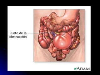 Carlos Eiji Cámara Yoshimoto 