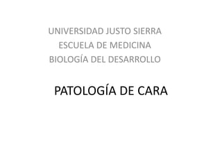 UNIVERSIDAD JUSTO SIERRA 
ESCUELA DE MEDICINA 
BIOLOGÍA DEL DESARROLLO 
PATOLOGÍA DE CARA 
 