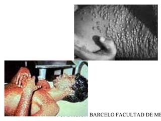 FUNDACION BARCELO FACULTAD DE ME
 