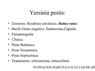 FUNDACION BARCELO FACULTAD DE ME
Yersinia pestis:
• Zoonosis: Roedores selváticos. Rattus ratus.
• Bacilo Gram negativo. Endotoxina.Cápsula.
• Fisiopatogenia
• Clínica:
• Peste Bubónica
• Peste Neumónica
• Peste Septicémica
• Tratamiento: eritromicina, tetraciclinas
 