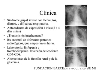 FUNDACION BARCELO FACULTAD DE ME
Clínica
• Síndrome gripal severo con fiebre, tos,
diarrea, y dificultad respiratoria.
• Antecedentes de exposición a aves (2 a 4
días antes)
• ¿Transmisión interhumana?
• Rx anormal de diferentes patrones
radiológicos, que empeoran en horas.
• Laboratorio: linfopenia y
trombocitopenia. Inversión del cociente
CD4-CD8.
• Alteraciones de la función renal y de la
glucemia.
 