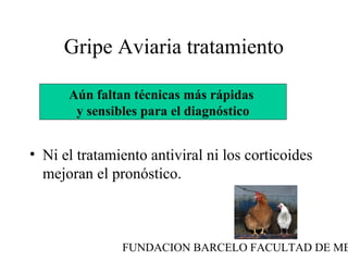FUNDACION BARCELO FACULTAD DE ME
Gripe Aviaria tratamiento
• Ni el tratamiento antiviral ni los corticoides
mejoran el pronóstico.
Aún faltan técnicas más rápidas
y sensibles para el diagnóstico
 